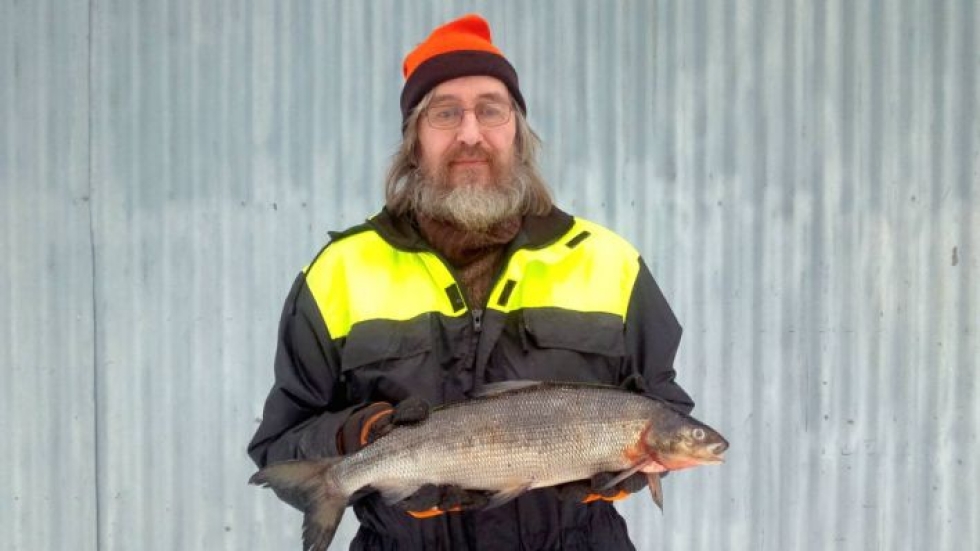 Ilkka Tolvanen sai 16. tammikuuta 2 038 grammaa painaneen siian Kolin kylän vesistöstä. 58 senttiä pitkä kala pyydettiin verkolla.