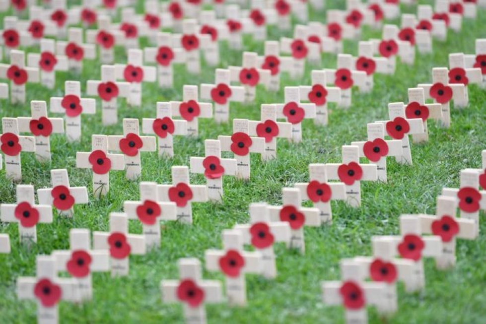 Don Cherryn penäämä unikko on Kansainyhteisön maissa symboli, jolla muistetaan ensimmäisen maailmansodan kaatuneita. Lehtikuva/AFP