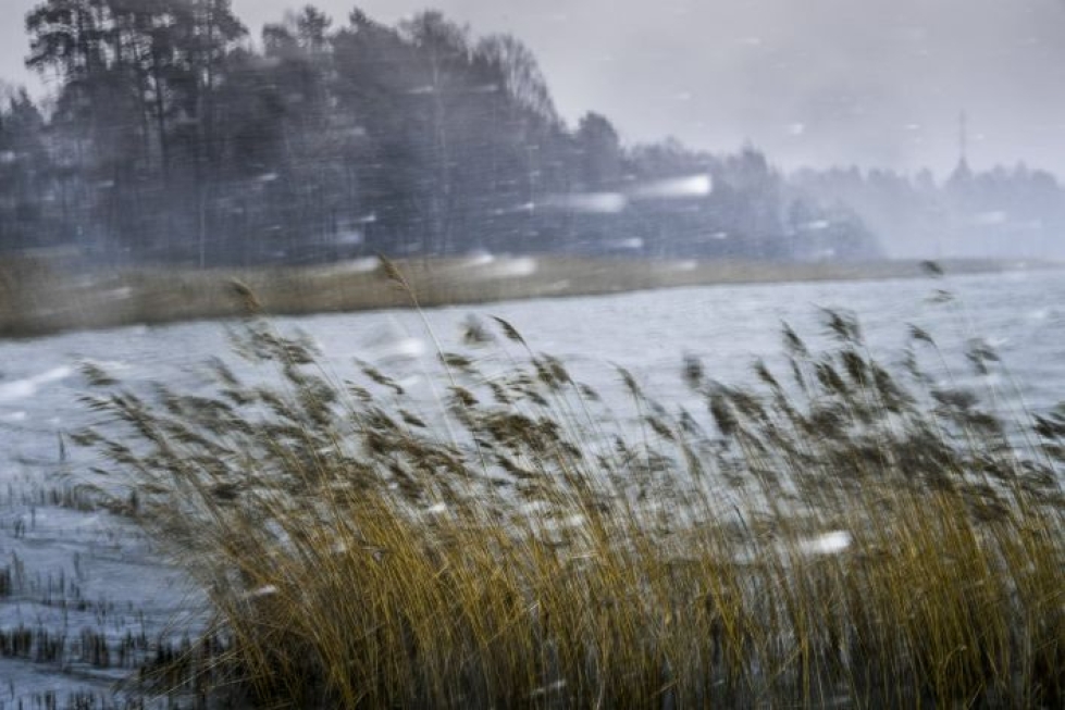 Maan ylle leviää perjantain aikana sadealue, jossa sataa ensin lunta ja myöhemmin maan etelä- ja keskiosissa räntää sekä vettä. LEHTIKUVA / Markku Ulander