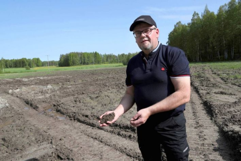 Maanviljelijä Urpo Leminen tunnustelee märkää savihiesumaata Polvijärven Kuorevaaralla. Vielä ei ole kylvötöihin tälle lohkolle asiaa, vaikka kuinka pellolle pääsy polttelee.