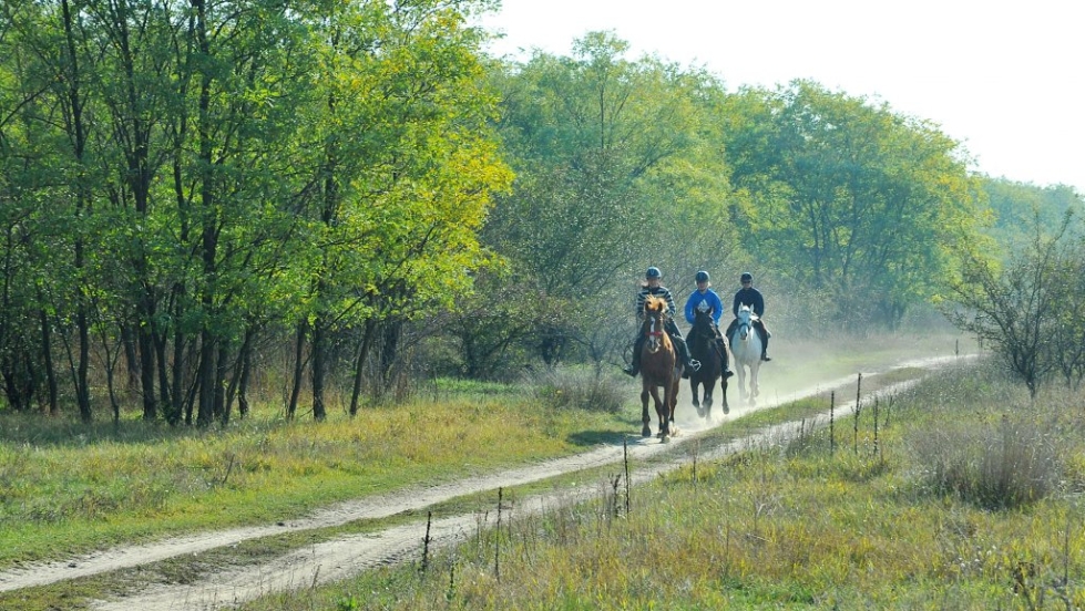 Lokakuussakin Unkarissa voi lämpötila kavuta yli 20 asteeseen. Parin tunnin rastsastus pustalla irrottaa hien hevosista ja ihmisistä, ja sen jälkeen ruoka maistuu.