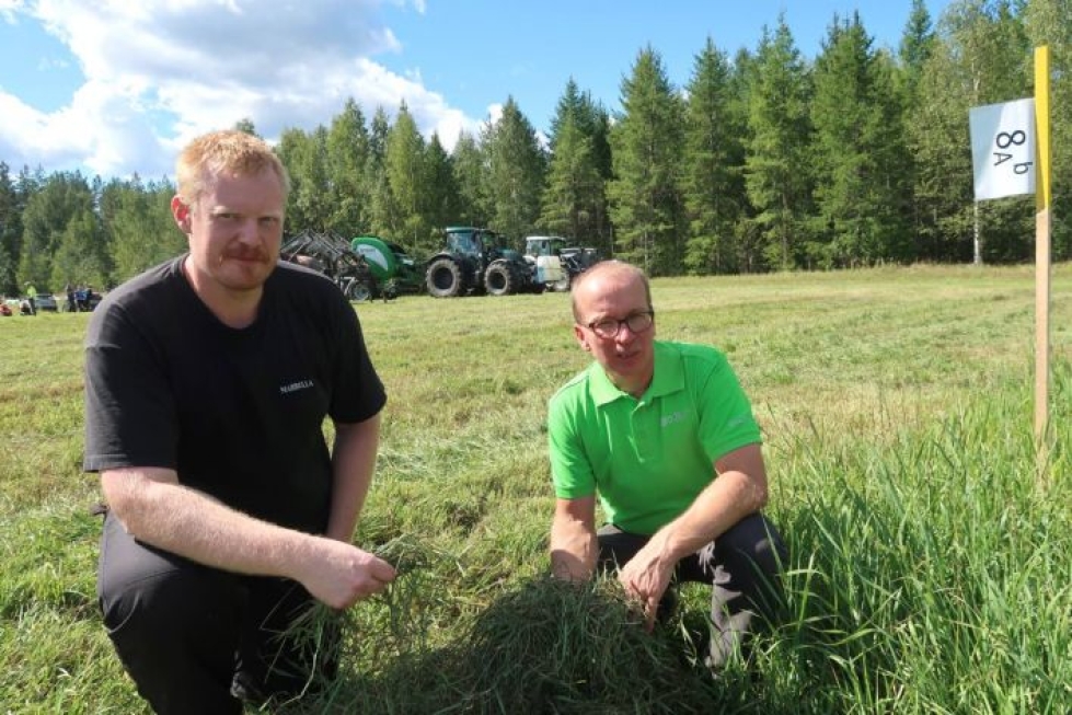 Jari Toivonen (vas.) ja Mika Juvonen lannoituskoealalla vajaa kuukausi sitten. Tuolloin niitetty nurmi odotti paalausta ja punnitusta.