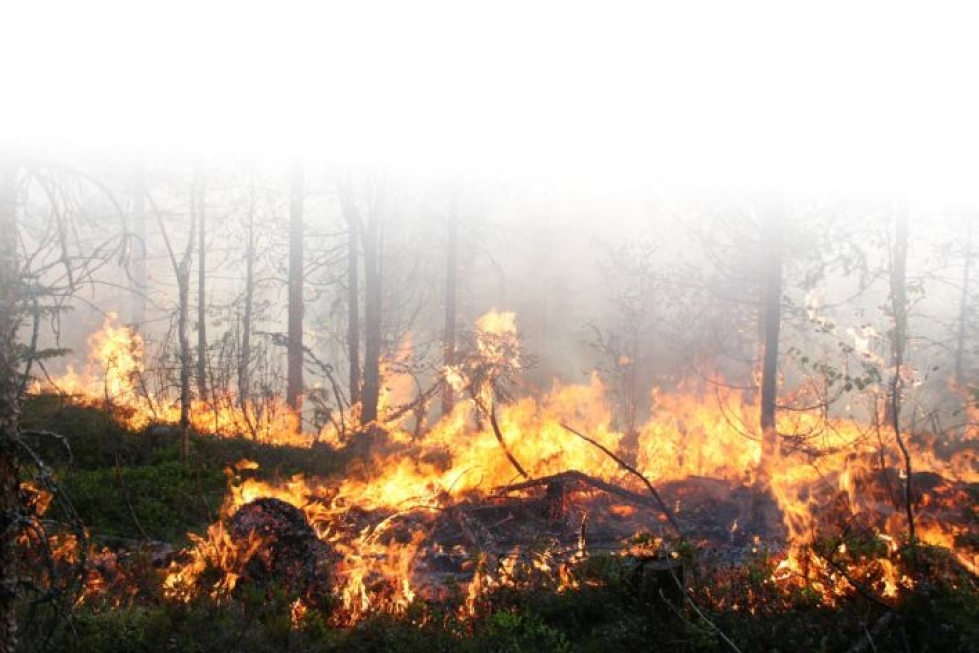 Suurin osa metsäpaloista syttyy tavalla toisella ihmisen toimesta. Siksi viranomaiset korostavat ehdotonta avotulen tekemiskieltoa metsäpalovaroituksen aikana.