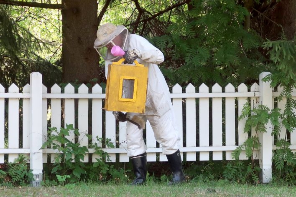 Matti Luostarinen kantoi mehiläislaatikon varovasti autoonsa.
