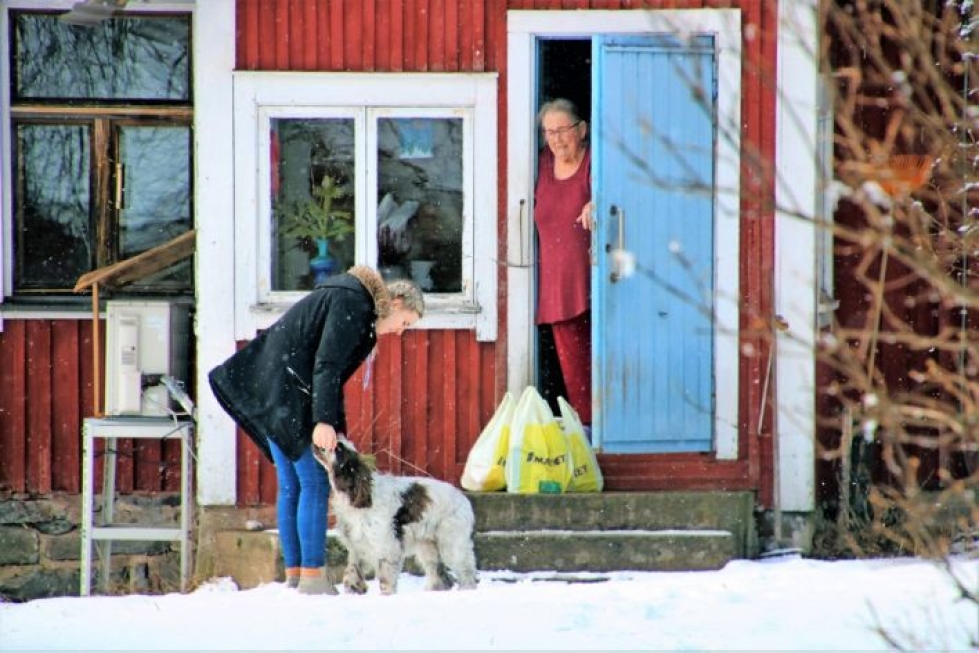 Esa ja Tellervo Halonen saivat viime perjantaina ensimmäisen kerran kunnan tuomana kauppaostokset. Ona Makkonen teki ostokset ja toi ne kotiovelle saakka. Hänen rapsutettavanaan Jäynä-koira.