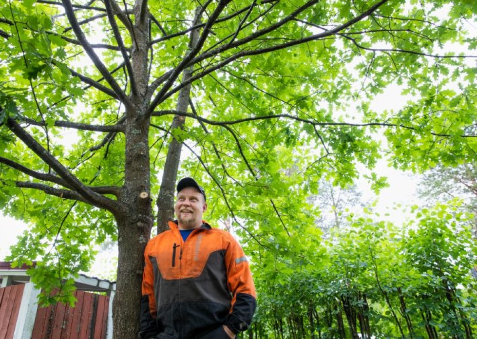 Arto Soinisen työkeikoista suurin osa koskee puiden kaatamista, mutta myös hoitoleikkauksia ja muita toimenpiteitä kysellään yhä enemmän.