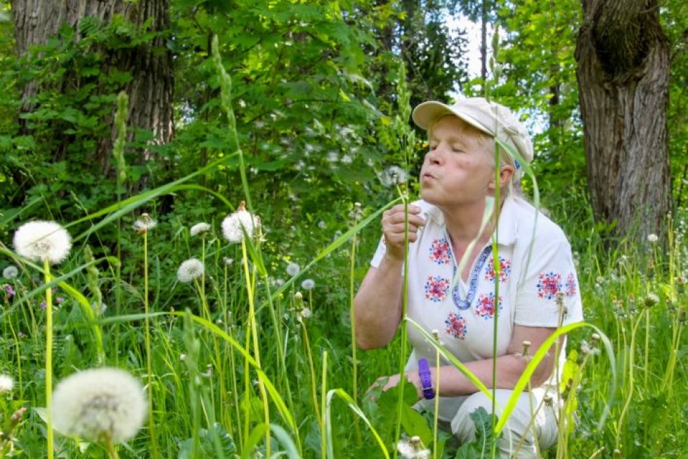 Outokumpulainen Marja Pennanen on harrastanut sieniä lapsesta saakka. 