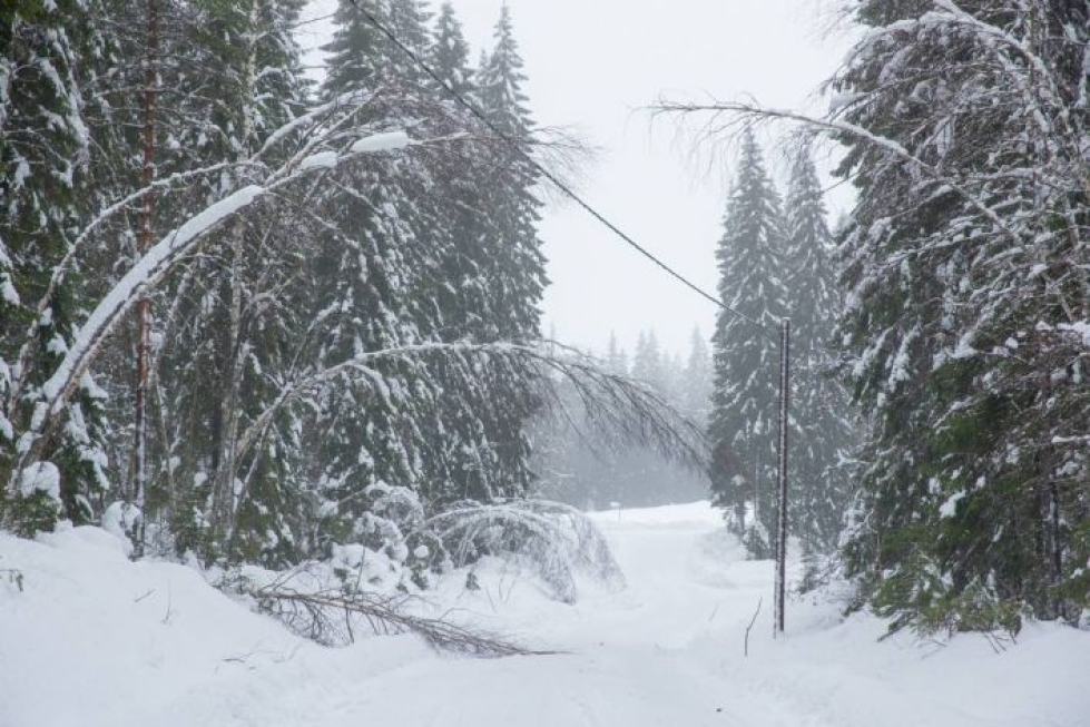 Tykkylumi kaataa pahimmillaan puiden latvat sähkölinjojen päälle, kuten kävi Tuupovaarassa talvella 2017.