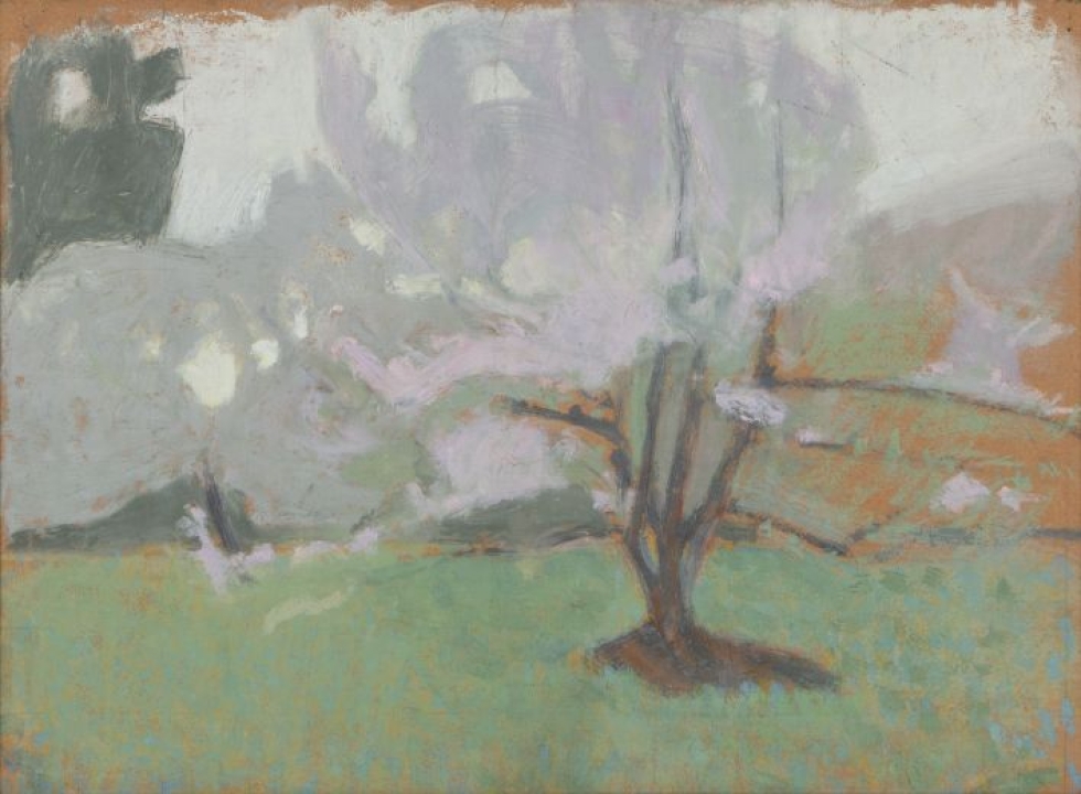 Schjerfbeck on maalannut vaaleasävyisen alkukesäistä maisemaa esittävän Kukkiva omenapuu -teoksen 1910-luvulla. LEHTIKUVA / HANDOUT / Hagelstam & Co
