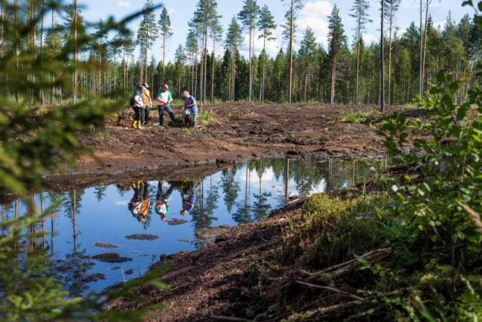 Kolmisen viikkoa sitten valmistuneen Sammalikonsuon alueen ensimmäisen kosteikon katselmuksen tekivät Tiina Käki, Toivo Kukkonen, Janne Raassina ja Tuovi Vaaranta.