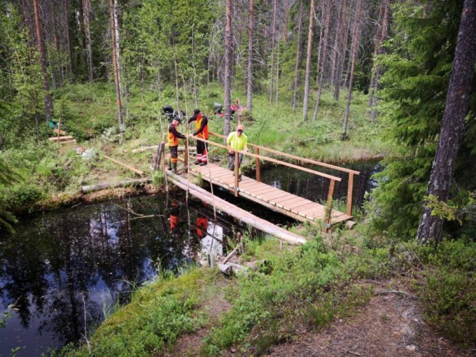 Kissapuron sillan rakentajat Kari Lautanen, Esa Sivonen ja Jere Tossavainen työssään.