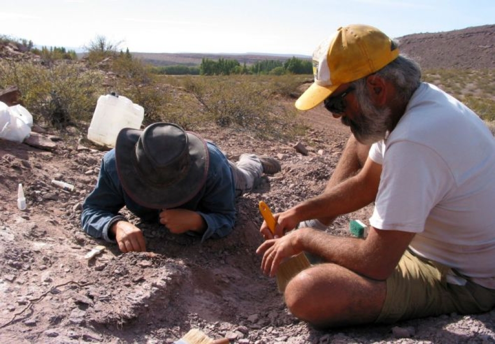 Tutkijat kaivoivat esiin kolmen dinosauruksen jäänteet Neuquenin maakunnassa Argentiinassa. Lehtikuva / AFP