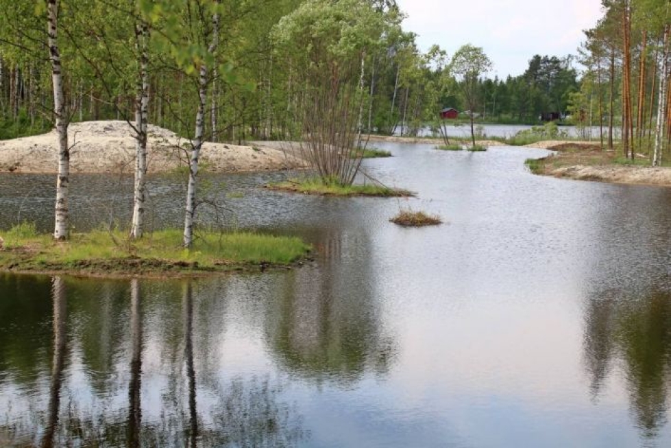 Vesiensuojelun tehostamisohjelmassa ei ole jäämässä varoja käyttämättä, sanoo ympäristöministeriön ylijohtaja Ari Niiranen. Arkistokuva Kesälahdelta.