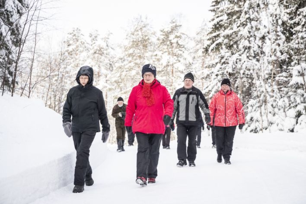 Kävelykerholaiset viikottaisella lenkillään. Joukkoja johtaa Liisa Davidsson punaisessa takissaan.
