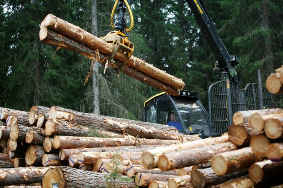 Metsäteollisuuden yksityismetsistä ostaman puun määrä lisääntyi viidenneksellä toissa vuodesta. LEHTIKUVA / Vesa Moilanen