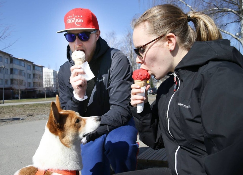 Joensuulaisille Petja Vuojärvelle ja Laura Kivelälle maistui jäätelö lämpimässä kevätsäässä. Dexter-koiraa jäätelönsyönti ei olisi voinut vähempää kiinnostaa.