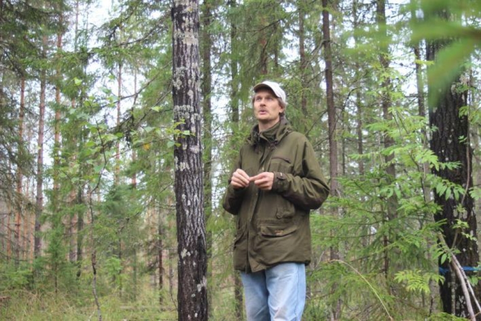 Risto Sulkava veti metsäopintoretkeä Mattilan luonnonsuojelualueella syyskuussa 2017.