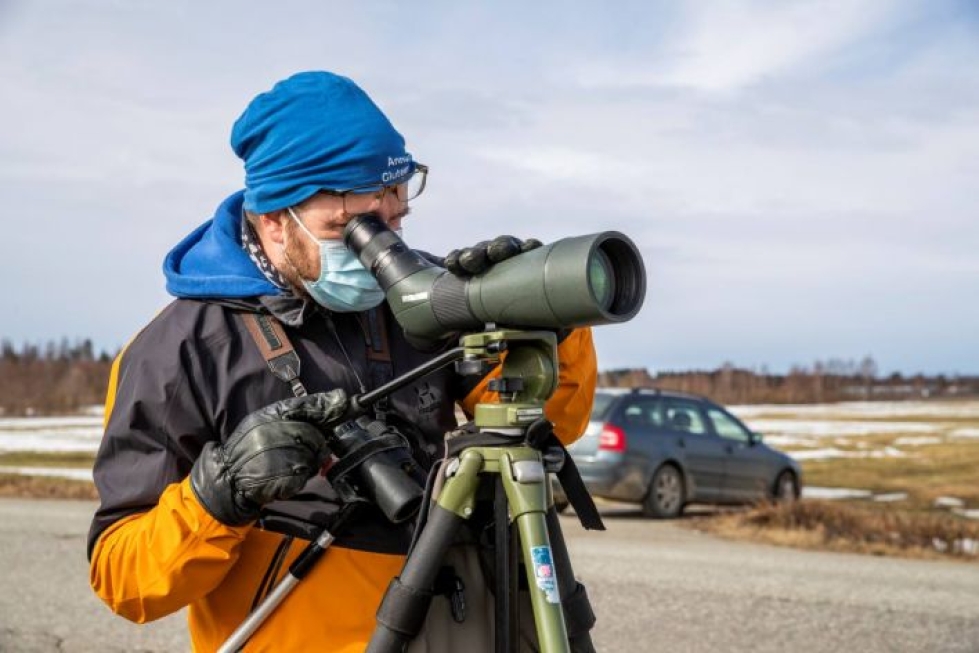 Reijolan pelto on helposti lintuharrastajien saavutettavissa. Havaintoja tekemässä Jani Varis Pohjois-Karjalan lintutieteellisestä yhdistyksestä.
