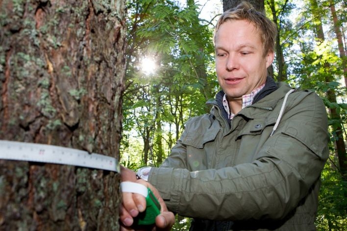 Joensuulainen Suomen Sijoitusmetsät on puhemiesten ykkönen, kun tehdään  metsätilakauppoja