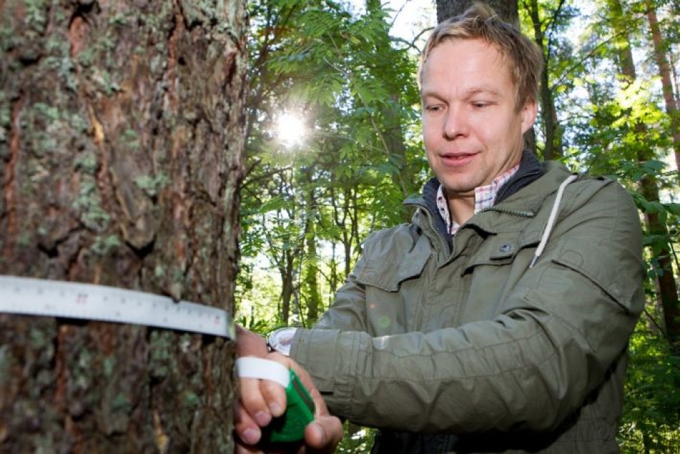 Mika Venho oli perustamassa Suomen Sijoitusmetsät Oy:tä vuonna 2013. Yritys on erikoistunut metsäkiinteistöjen arvonmäärityksiin ja talouslaskelmiin.