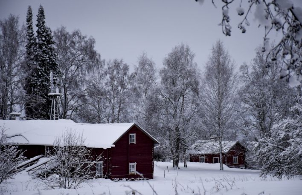 Maisema Pohjois-Karjalassa muuttuu perjantaina entistä lumisemmaksi.