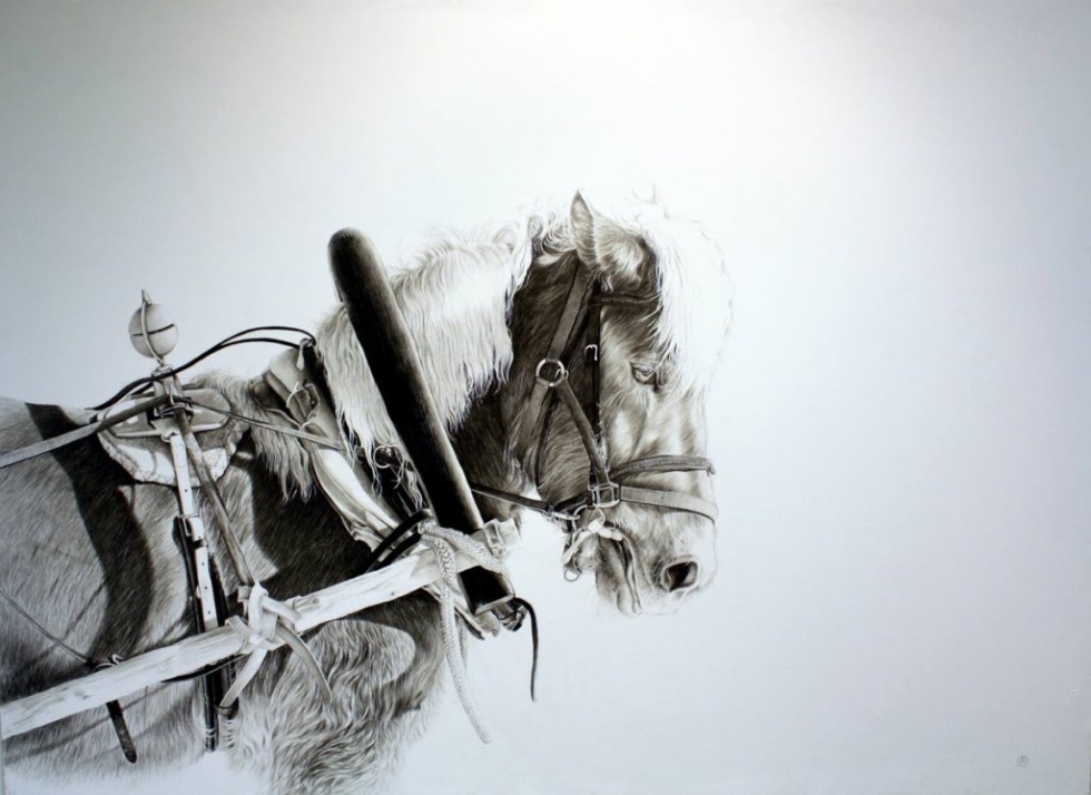 Anssi Mikael Okkonen piirtää edelleen hevosia.