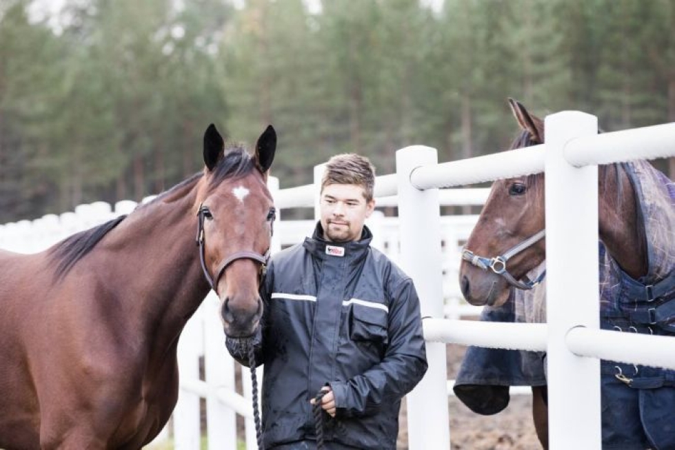 Nuorista hevosista innostunut Jere Taulio uskoo löytäneensä oman alansa. Magic Cash (vas.) ja Misunderstood ovat tulevaisuuden mahdollisia menestyjiä.
