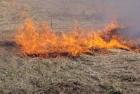 Karannut tuli tuhosi leikkimökin ja kärvensi maastoa Outokummussa, Liperissä paloi kahden aarin kokoinen alue – pelastuslaitos muistuttaa, että avotulen teko on nyt kielletty