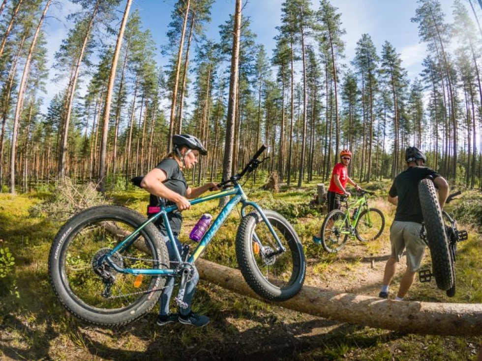 Fatbike-pyöräilyä kokeilemassa olleet Anni ja Arttu Pietilä nostamassa pyöriään kaatuneen puunrungon yli.