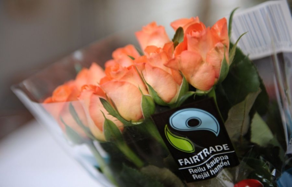 Finnwatchin sertifiointivertailussa parhaiten pärjäsi Reilu kauppa, jonka valikoimiin kuuluu muun muassa ruusuja. LEHTIKUVA / Martti Kainulainen