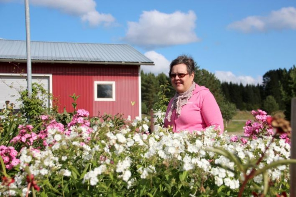 Sari Vänskä pitää erityisesti valkoisista kukista, kuten näistä syysleimuista.