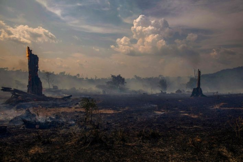 Tänä vuonna Amazonin sademetsissä paloja on syttynyt tai sytytetty kokonaisuudessaan yli 82 000. LEHTIKUVA/AFP