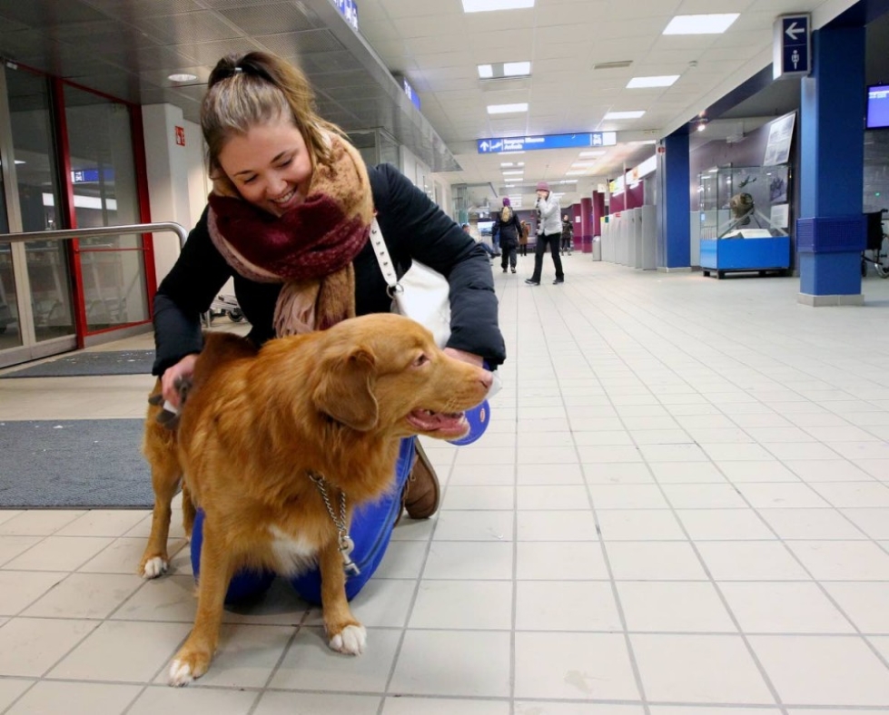 Tuuli Tahvanainen, 22, hyvästeli tiistaina Uffe-koiransa ja suuntaisi Joensuun lentoasemalta Helsingin kautta takaisin opiskelukaupunkiinsa Barcelonaan.