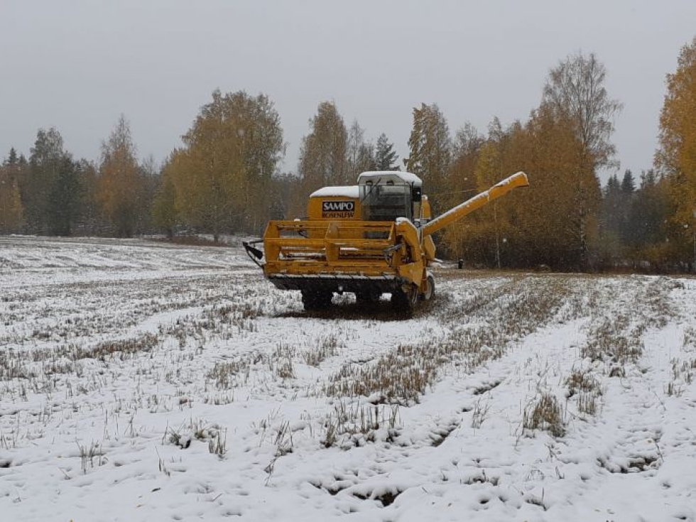 Lumisade kekeytti puintipuuhat eilen.  Kuvan lähetti Jere Mutanen