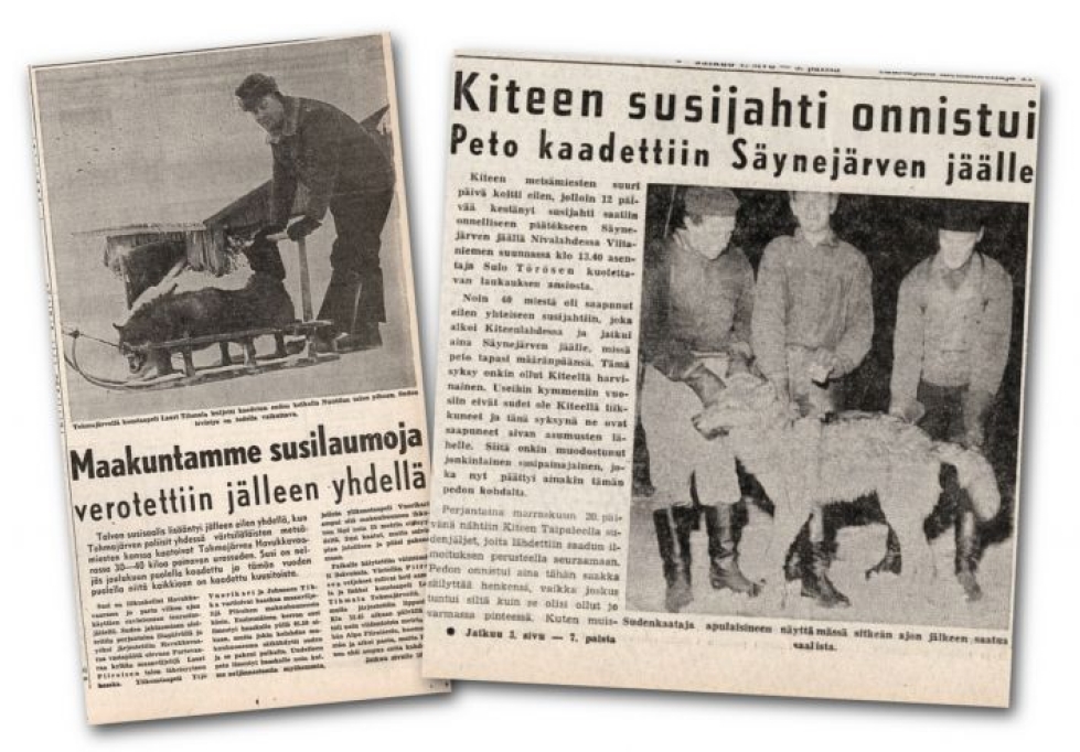 Susiuutisointia Karjalaisessa. Lehtileikkeet ovat vuosilta 1962 ja 1959.