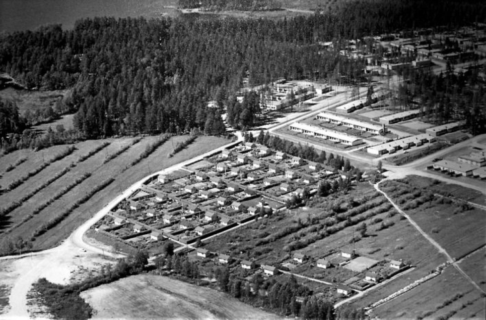 1960-luvun lopulla Linnunlahden kaupunginosa oli vielä alkutekijöissään. Kuvan etualalla silloinen siirtolapuutarha-alue, jonka takana uudenkarheat Pajutien ja Kuusitien rivitalot.