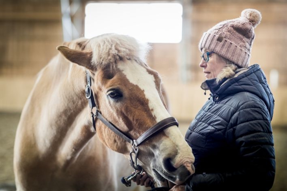 Suomenhevosruuna Sirotin eli Simppa on työskennellyt ratsastusterapeutti Jaana Ratamaan työparina jo kymmenen vuoden ajan.