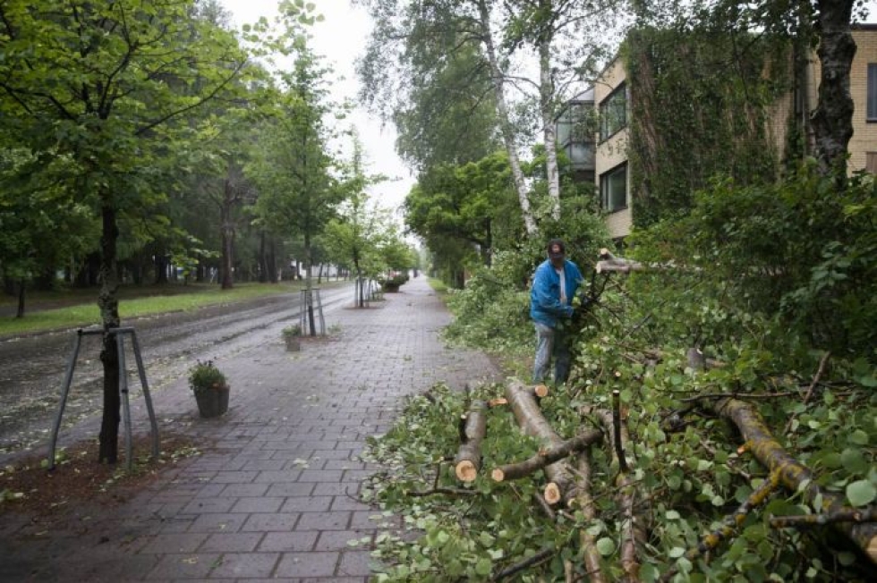 Päivö-myrsky kaatoi urakalla puita Jukka Vaarin pihapiiristä Joensuun Länsikadulla. Onnekkaasti pahinta osumaa kaatuneista puista otti vain pensasaita.