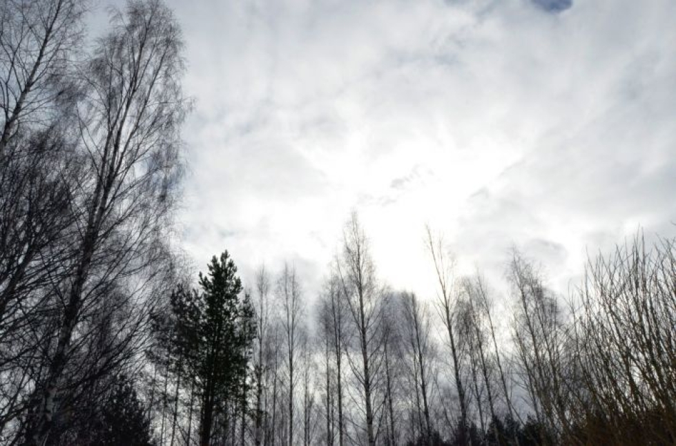Suomea lähestyy matalapaine Baltiasta. Se tuo maanantaina aamusta alkaen pilvisyyttä Etelä-Suomeen. 
LEHTIKUVA / EIJA KONTIO