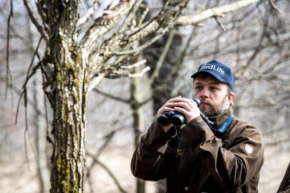 Sami Ylistö on Birdlifen viime vuoden retkikummi. Hänen opastamillaan linturetkillä on seurattu kevät- ja syysmuuttoa, tutustuttu talvilintuihin ja yölaulajiin, päivystetty lintutorneissa ja retkeilty lähiseudun lintukohteilla.