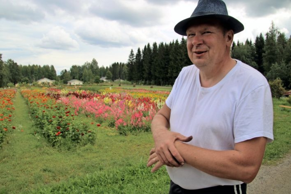 Yrittäjä, puutarhuri Markku Halonen on jo pari kuukautta valmistellut tämän vuoden Kukkakuhhausta. Koronavirus teettää valtavasti lisätyötä.