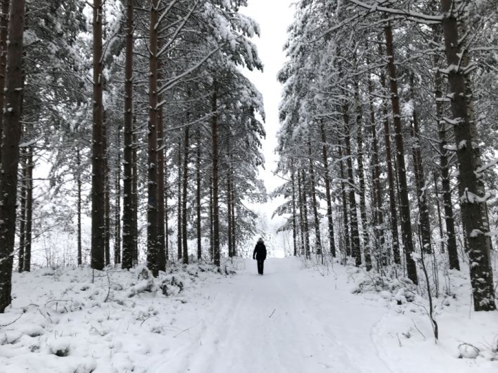 Talvipolkuja reunustaa erilaiset metsätyypit. Talvella maisemat ovat henkeäsalpaavan kauniit.