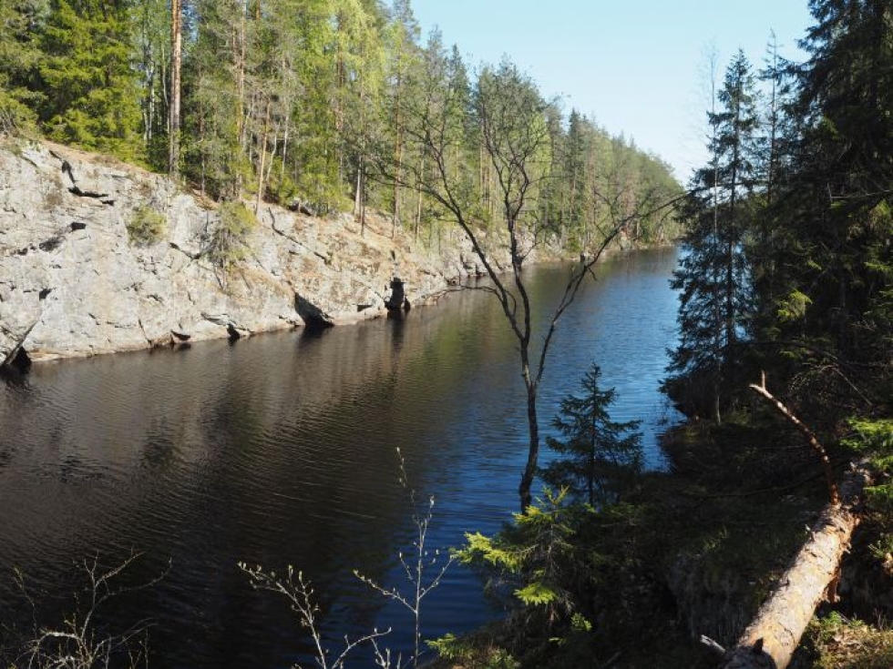 Kalliojärven maisema viime sunnuntaina, jolloin Pohjois-Karjalassa yllettiin yli 20 asteen lämpötiloihin