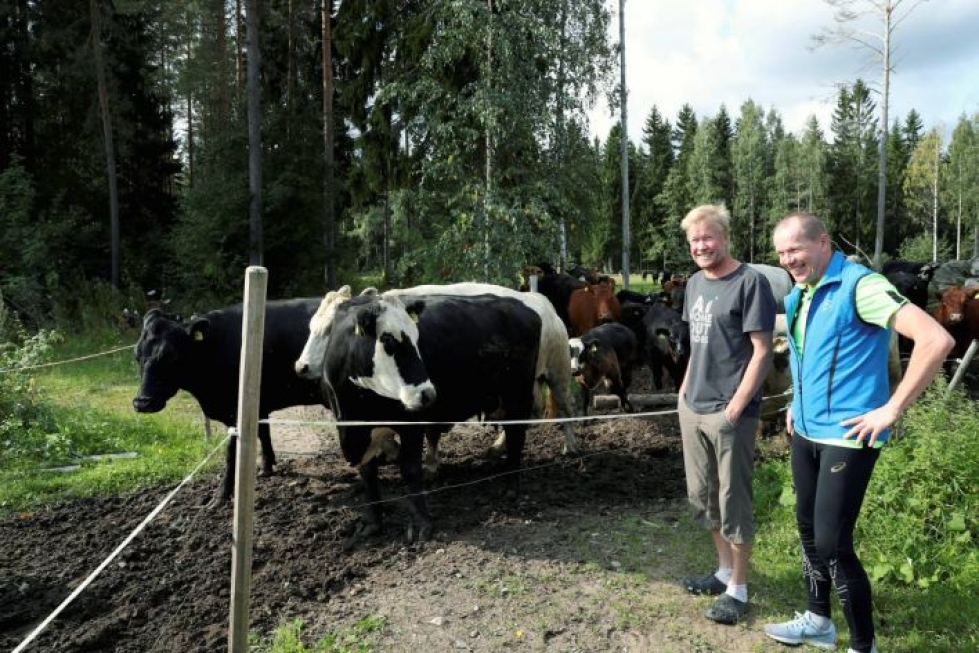 Heikki Halonen (vas.) ja Eino Hyttinen käyskentelemässä Halosen maatilalla.