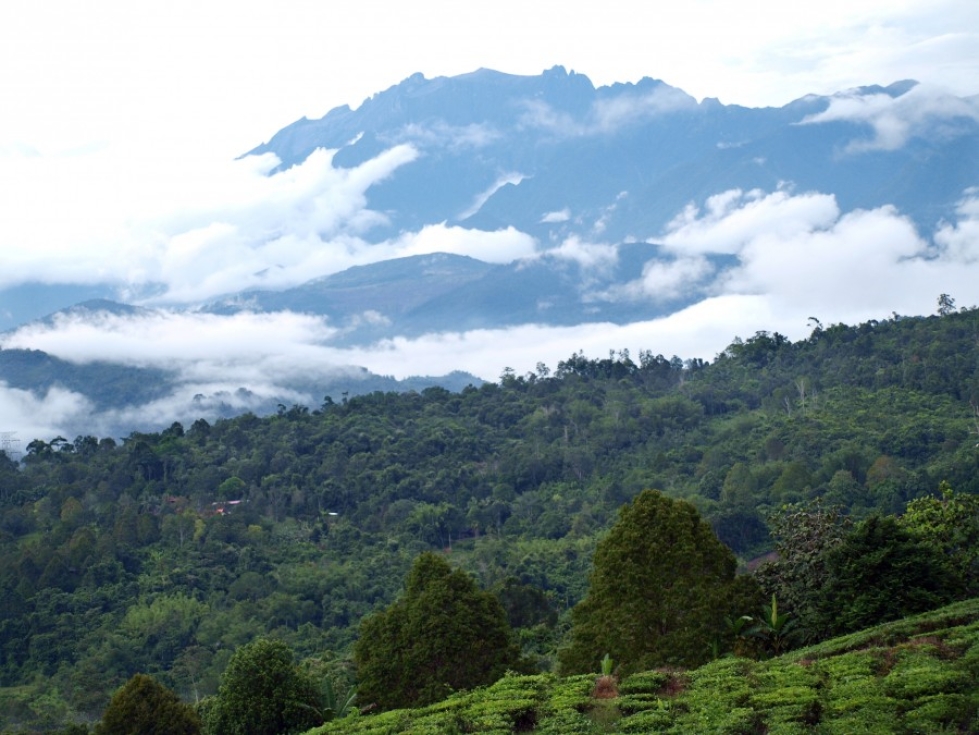 Kinabalu-vuori kohoaa yli neljän kilometrin korkeuteen.