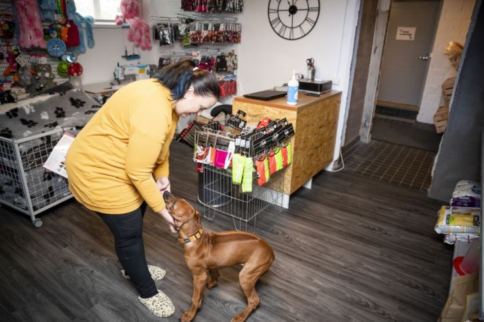 Neljä kuukautta vanhan Armi-koiran emäntä Mirka Tossavainen sanoo, ettei ole luovuttajatyyppiä. – Yrityksen ensimmäinen vuosi ei ole ollut helppo, mutta menen sisulla eteenpäin.