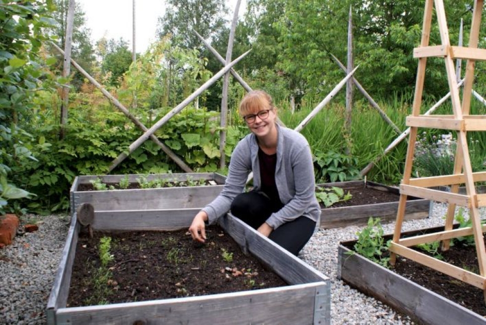 Lavakaulusistutuksessa Ella Lipposen puutarhassa kasvaa esimerkiksi porkkana.