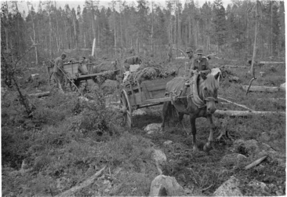 Hevoskuormastoa rämpimässä Karjalan korvissa kohti Rukajärveä. Kuva otettu Ontrosenvaaran itäpuolella 15. elokuuta 1941.