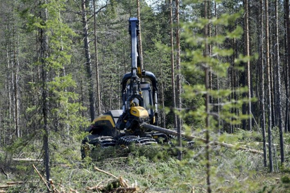 Metsäkoneyhtiö Ponsse sai ennätyspisteet vastuullisuudesta ja uudistumiskyvystään, kertoo selvityksen toteuttanut T-Media. LEHTIKUVA / MARTTI KAINULAINEN