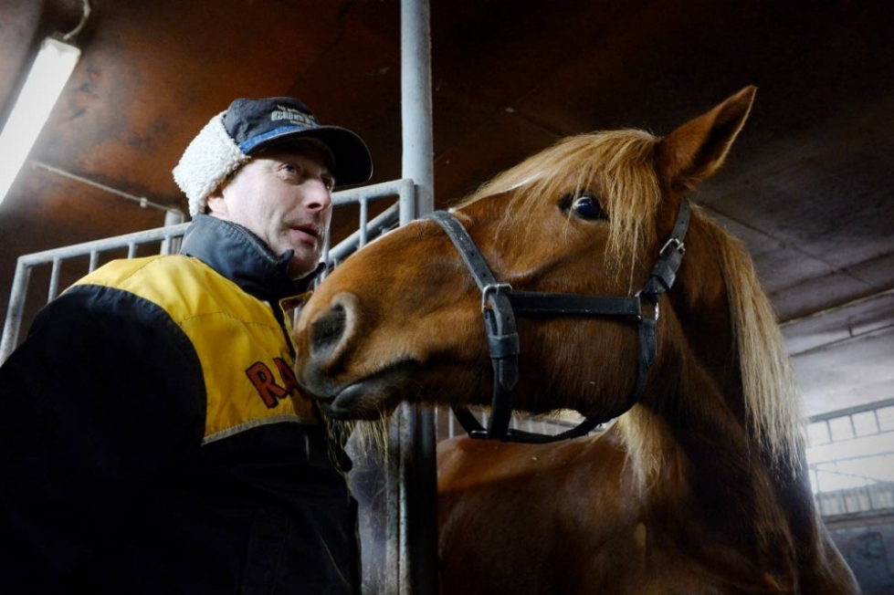 Kaarlo Ahokas tietää, että hevosen luottamuksen menettää, jos käyttää liian kovia keinoja.